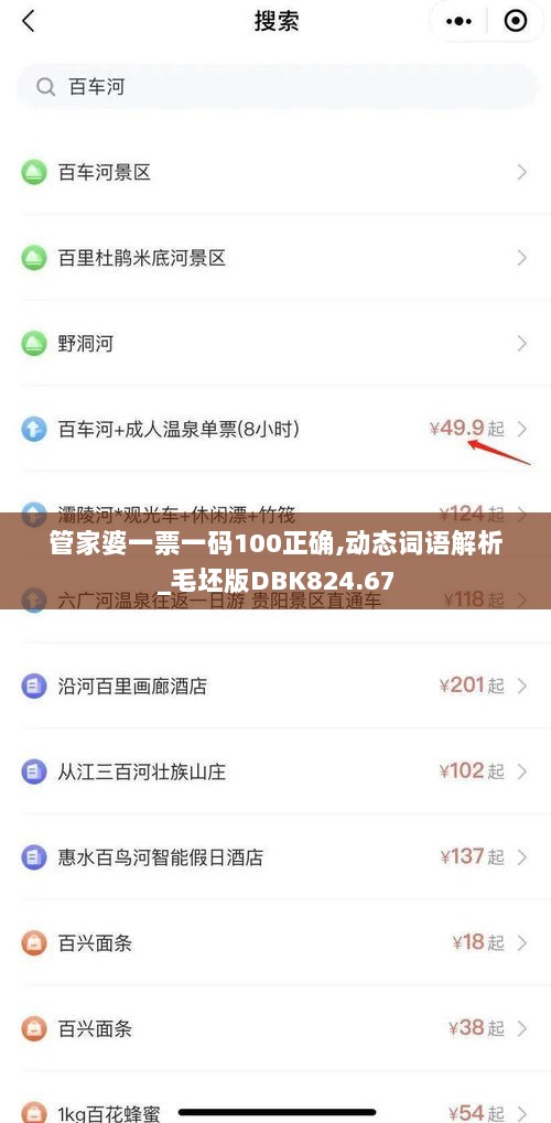 管家婆一票一码100正确,动态词语解析_毛坯版DBK824.67