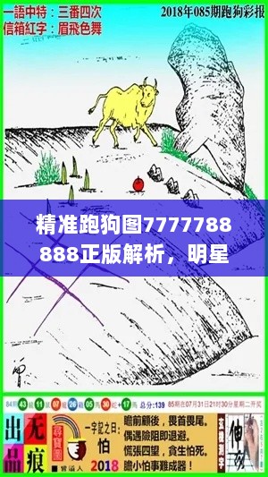 精准跑狗图7777788888正版解析，明星版UDH852.12综合解读