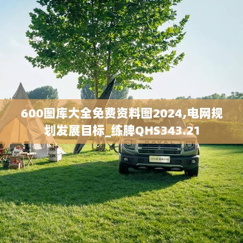 600图库大全免费资料图2024,电网规划发展目标_练脾QHS343.21