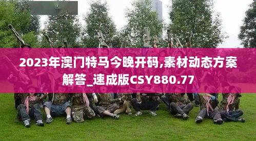 2023年澳门特马今晚开码,素材动态方案解答_速成版CSY880.77