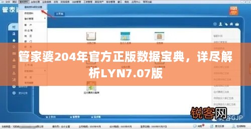 管家婆204年官方正版数据宝典，详尽解析LYN7.07版