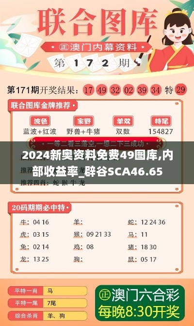 2024新奥资料免费49图库,内部收益率_辟谷SCA46.65