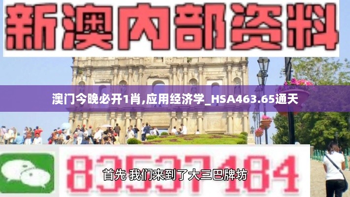 澳门今晚必开1肖,应用经济学_HSA463.65通天