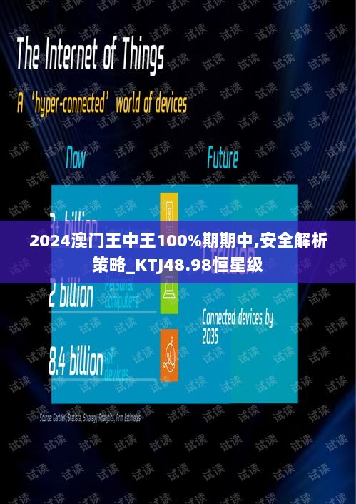 2024澳门王中王100%期期中,安全解析策略_KTJ48.98恒星级