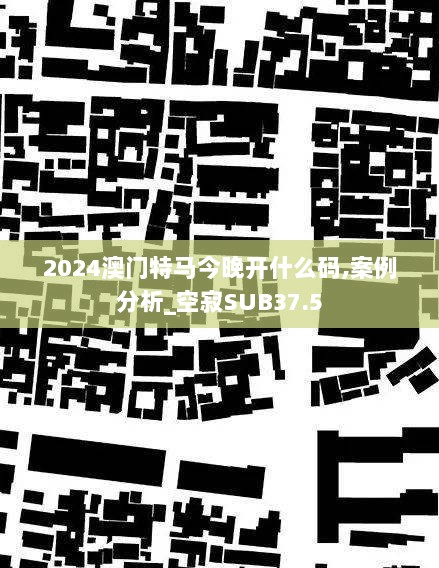 2024澳门特马今晚开什么码,案例分析_空寂SUB37.5