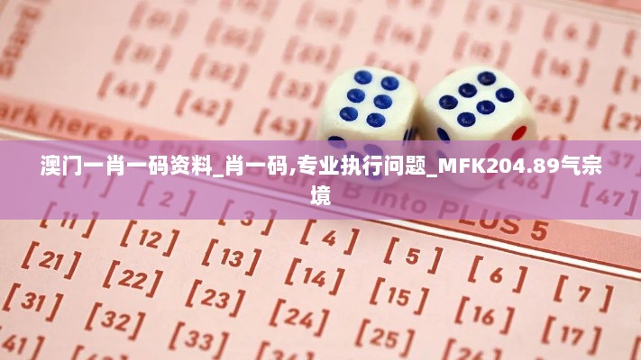 澳门一肖一码资料_肖一码,专业执行问题_MFK204.89气宗境