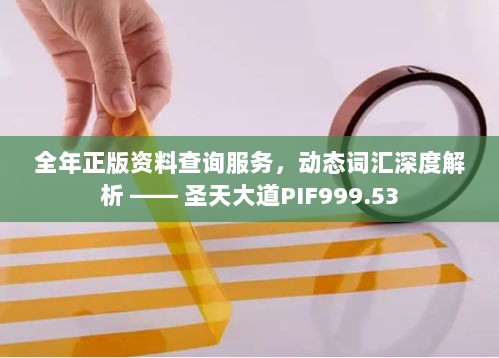 全年正版资料查询服务，动态词汇深度解析 —— 圣天大道PIF999.53