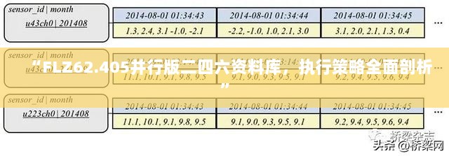 “FLZ62.405并行版二四六资料库，执行策略全面剖析”