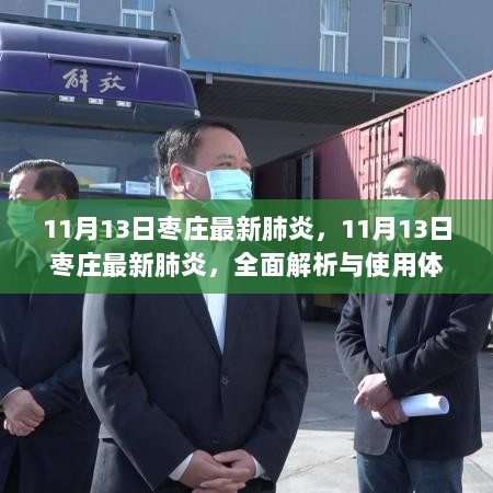 11月13日枣庄最新肺炎，全面解析与使用体验报告