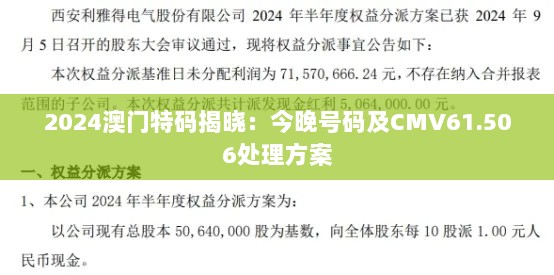 2024澳门特码揭晓：今晚号码及CMV61.506处理方案