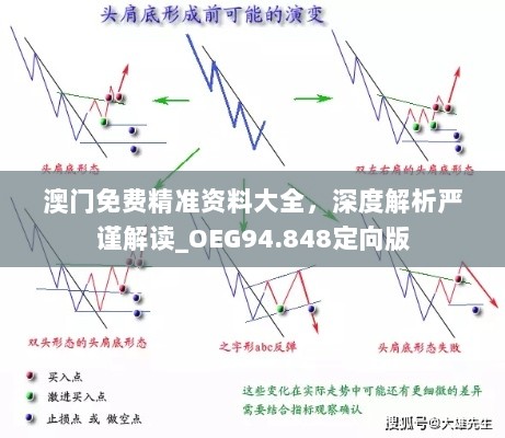 澳门免费精准资料大全，深度解析严谨解读_OEG94.848定向版