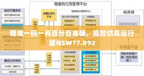 精准一码一肖百分百准确，高效仿真运行版NSW77.892