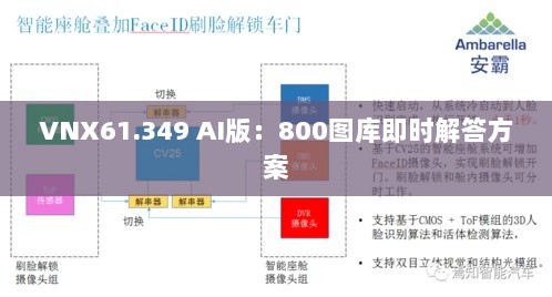 VNX61.349 AI版：800图库即时解答方案