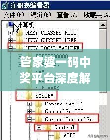 管家婆一码中奖平台深度解析：MYI61.881远程版实战应用