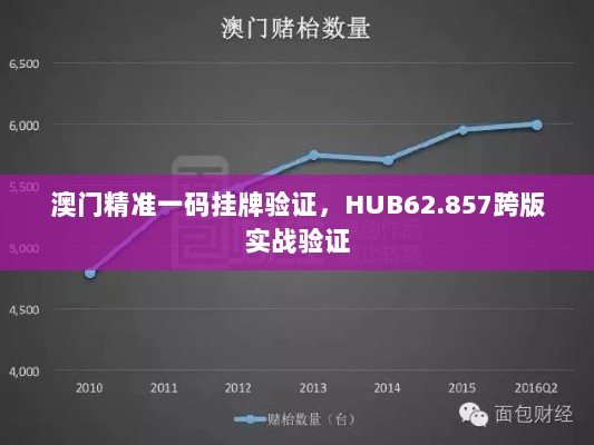 澳门精准一码挂牌验证，HUB62.857跨版实战验证