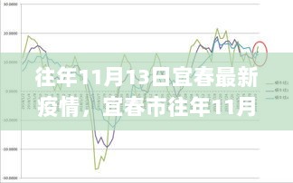 往年11月13日宜春市疫情深度解析与体验报告