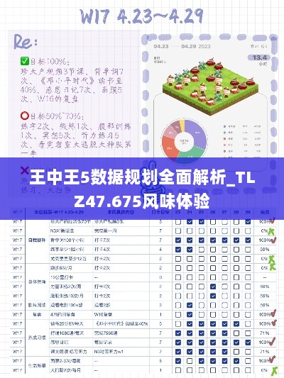 王中王5数据规划全面解析_TLZ47.675风味体验