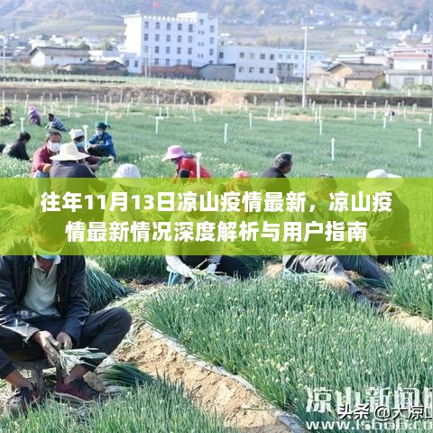 凉山疫情最新情况深度解析与防控用户指南