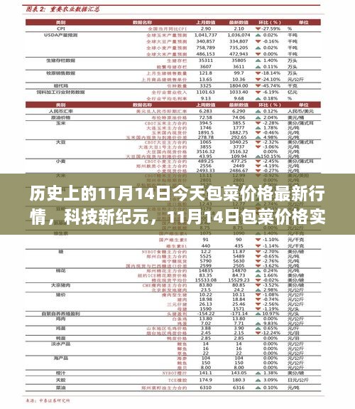 科技引领新风尚，11月14日包菜价格实时监测器，历史与现代生活的交汇点