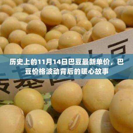 11月14日巴豆价格背后的暖心故事