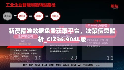 新澳精准数据免费获取平台，决策信息解析_CIZ36.904L版