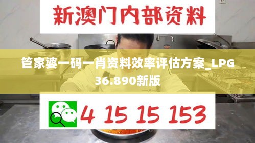 管家婆一码一肖资料效率评估方案_LPG36.890新版