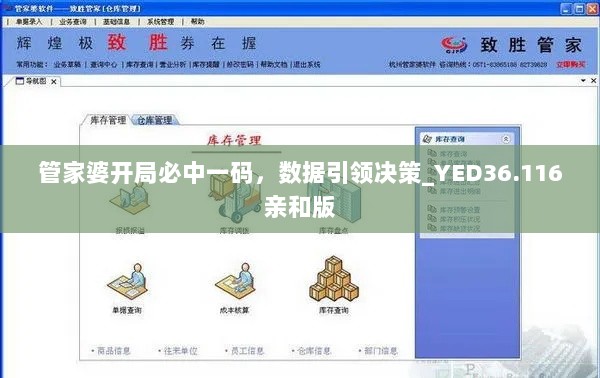 管家婆开局必中一码，数据引领决策_YED36.116亲和版