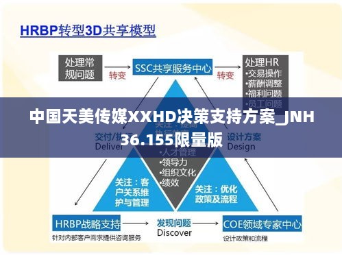 中国天美传媒XXHD决策支持方案_JNH36.155限量版