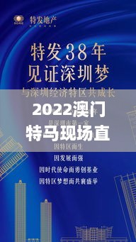 2022澳门特马现场直播，高效执行方案_YLX19.766珍藏版