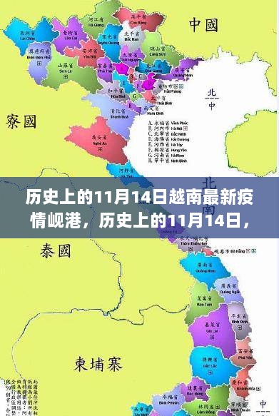 历史上的11月14日，越南岘港疫情动态分析最新报告