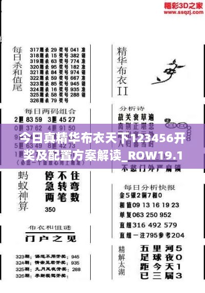 今日真精华布衣天下123456开奖及配置方案解读_ROW19.110零售版