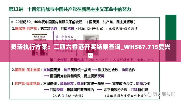 灵活执行方案：二四六香港开奖结果查询_WHS87.715复兴版