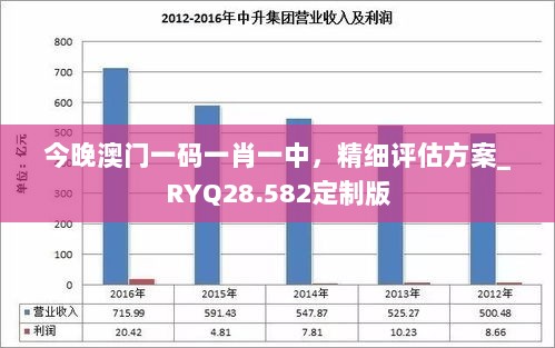 今晚澳门一码一肖一中，精细评估方案_RYQ28.582定制版