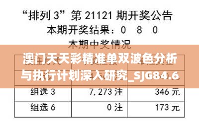 澳门天天彩精准单双波色分析与执行计划深入研究_SJG84.669商务版