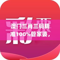 澳门三肖三码精准100%管家婆，详细评估方案_JMJ20.360美学版