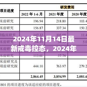 2024年最新戒毒控态，历史、影响与时代地位的探索