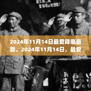 2024年11月14日最爱降临，学习新技能全攻略