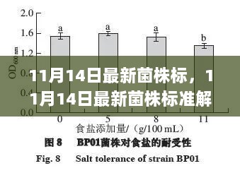 11月14日最新菌株标准解读，特性、体验及市场对比分析