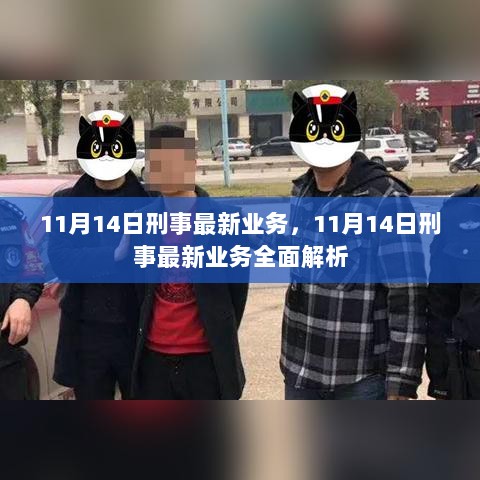 11月14日刑事最新业务全面解析与深度解读