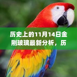 历史上的11月14日，金刚玻璃深度解析与最新分析