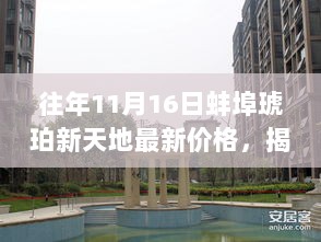 11月16日揭秘蚌埠琥珀新天地，房价探秘与隐藏在小巷的特色小店