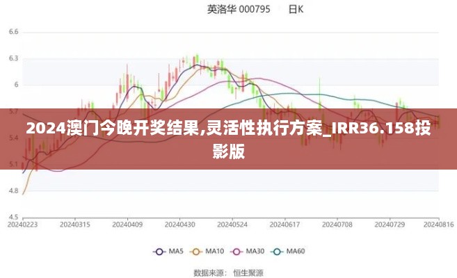 2024澳门今晚开奖结果,灵活性执行方案_IRR36.158投影版