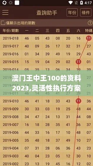 澳门王中王100的资料2023,灵活性执行方案_ORK36.500设计师版