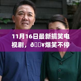 11月16日爆笑不停，最新搞笑电视剧大赏📺