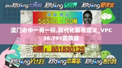 澳门必中一肖一码,现代化解析定义_VPC36.791高效版