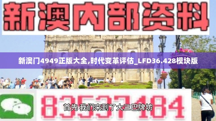 新澳门4949正版大全,时代变革评估_LFD36.428模块版