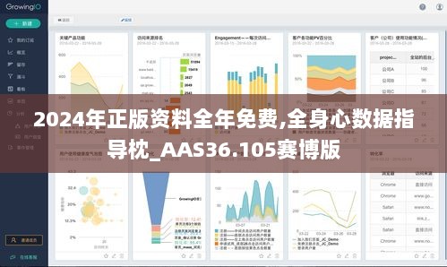 2024年正版资料全年免费,全身心数据指导枕_AAS36.105赛博版