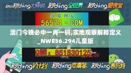 澳门今晚必中一肖一码,实地观察解释定义_NWE36.294儿童版