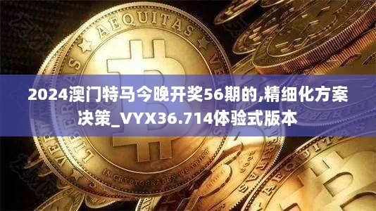 2024澳门特马今晚开奖56期的,精细化方案决策_VYX36.714体验式版本