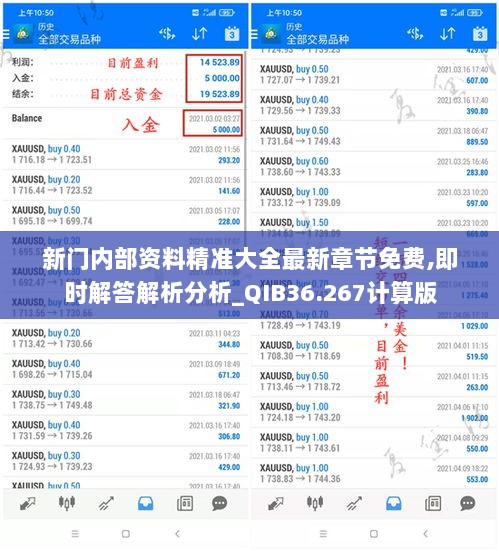 新门内部资料精准大全最新章节免费,即时解答解析分析_QIB36.267计算版